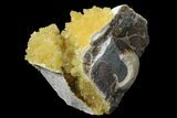 Fluorescent, Yellow Calcite Crystal Cluster - South Dakota #170694-1